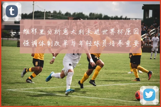 维耶里分析意大利未进世界杯原因强调体制改革与年轻球员培养重要性